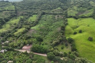 Terrenos y departamentos: claves para la inversión patrimonial