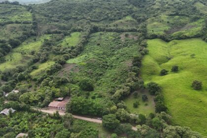 Terrenos y departamentos: claves para la inversión patrimonial